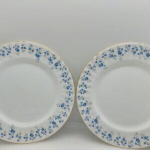 2 New 1970 Vintage Royal Albert Memory Lane 8" Plates Bone China